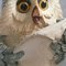 Mr_Nightfeather