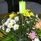 GLORY_BEE