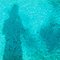 bluebutterfly
