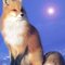 Firefox58
