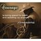 voicelesscowboy voicelesscowboy