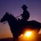 Oklahoma_Cowboy Oklahoma_Cowboy