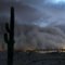 tucsongary