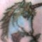 unicorn_33 unicorn_33