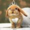 Snuggle_Bunny