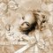 Honkey_Tonk_Angel
