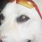 AIZE