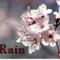 SilentRain SilentRain