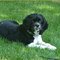 Buddy07