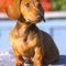 spanky_2008 spanky_2008
