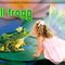 bullfrogg