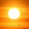solarbaby
