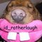 id_ratherlaugh id_ratherlaugh