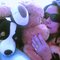 anabel_robie