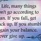 Chaz_22563