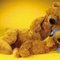 teddybearforu teddybearforu
