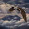 spirit_eagle